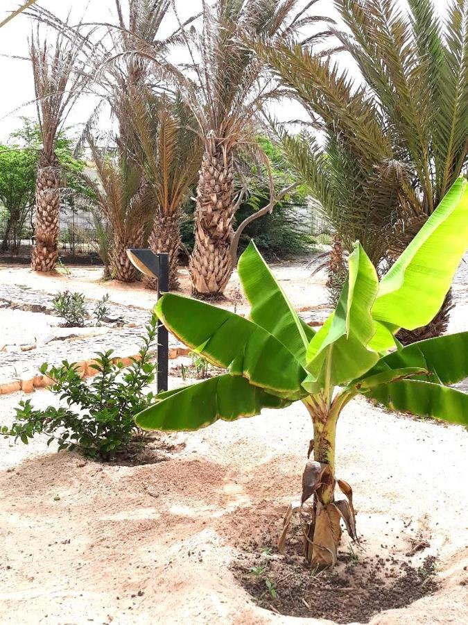 Beach House Agua Viva, Praia De Chaves, Boa Vista, Sal Rei, Cape Vert, 50Mt Spiaggia Rabil Eksteriør bilde